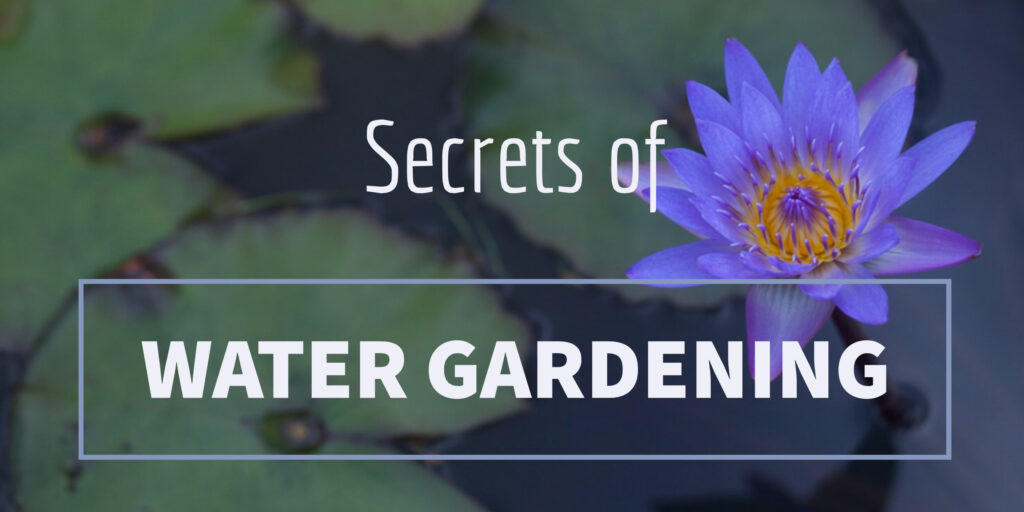 Secrets of Water Gardening