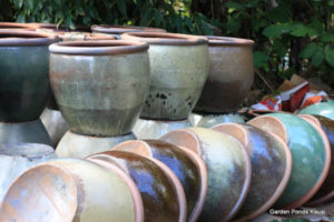 large Ceramic pots kauai
