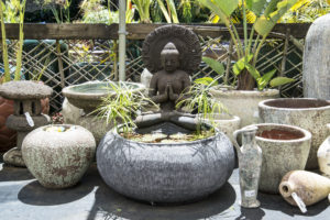 Garden Pond 26