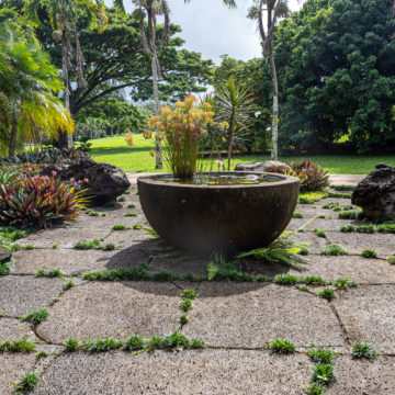 Puka Rock Pavers stone stepping stones water garden