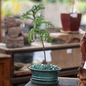 table top Christmas tree in bonsai pot decorated