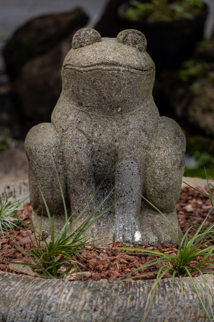 frog stone garden statue