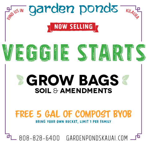 Free Compost, Veggie Starts, Soils and Amendments Available Now
